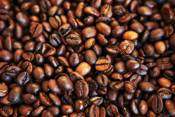 Merek Kopi Terbaik yang Wajib Dicoba, Rekomendasi untuk Pecinta Kopi