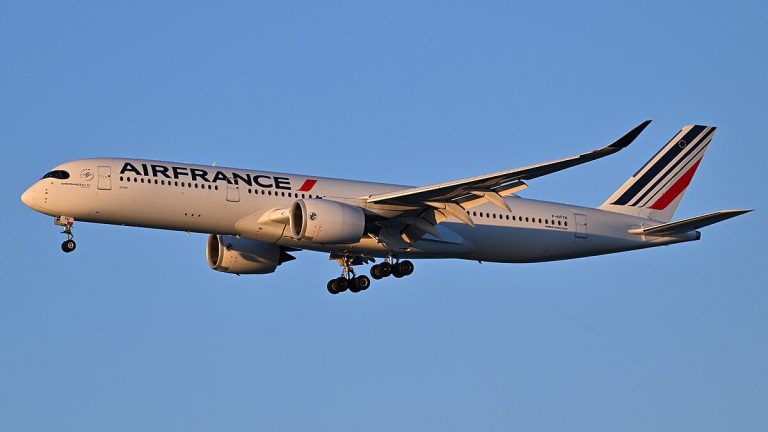 Air France, Maskapai Penerbangan Prancis dengan Warisan Elegansi dan Inovasi